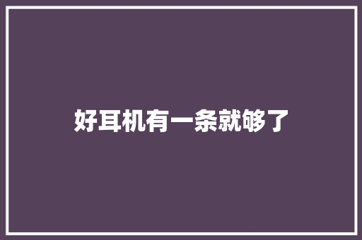 好耳机有一条就够了