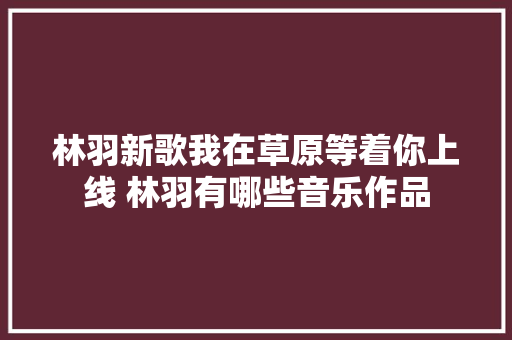 林羽新歌我在草原等着你上线 林羽有哪些音乐作品