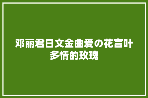 邓丽君日文金曲爱の花言叶多情的玫瑰