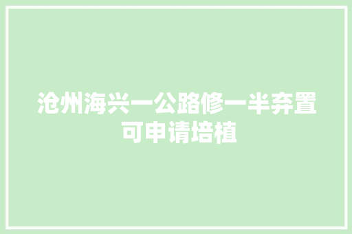 沧州海兴一公路修一半弃置 可申请培植
