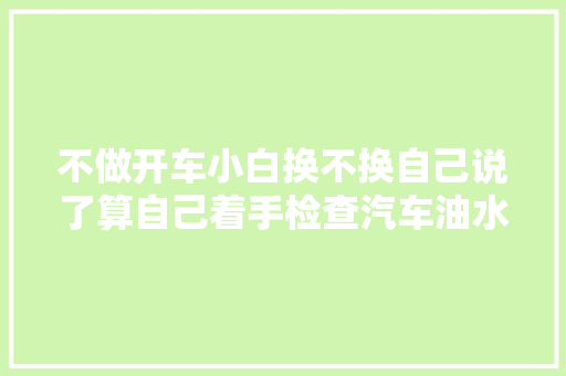 不做开车小白换不换自己说了算自己着手检查汽车油水