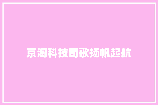 京淘科技司歌扬帆起航