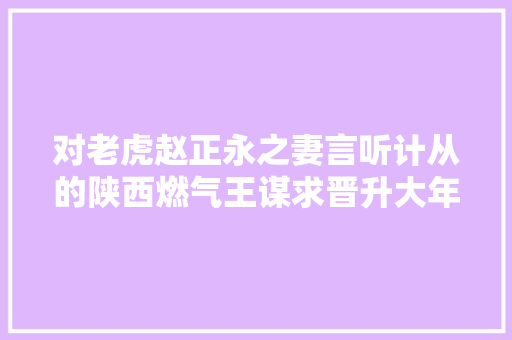 对老虎赵正永之妻言听计从的陕西燃气王谋求晋升大年夜肆行贿