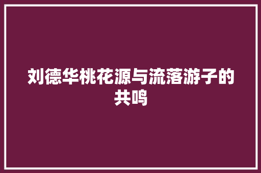 刘德华桃花源与流落游子的共鸣