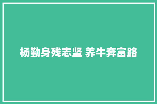 杨勤身残志坚 养牛奔富路