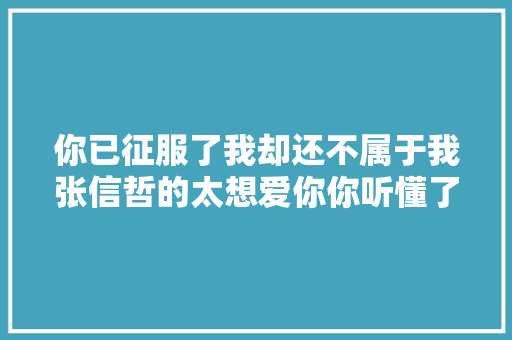 你已征服了我却还不属于我张信哲的太想爱你你听懂了吗