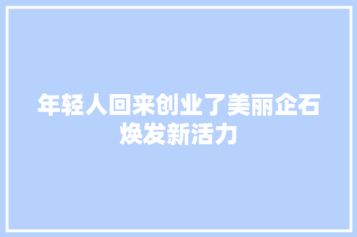 年轻人回来创业了美丽企石焕发新活力 汽车知识