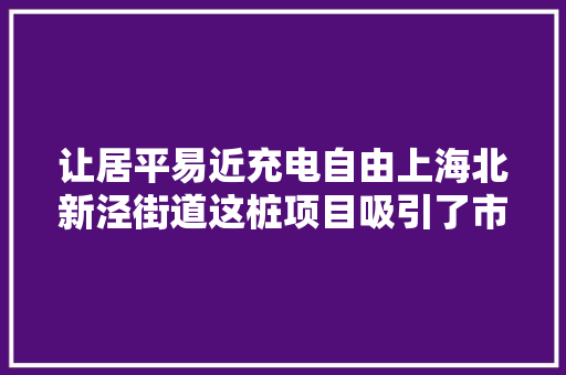让居平易近充电自由上海北新泾街道这桩项目吸引了市平易近代表