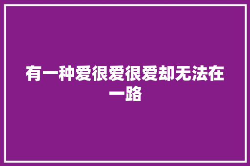 有一种爱很爱很爱却无法在一路