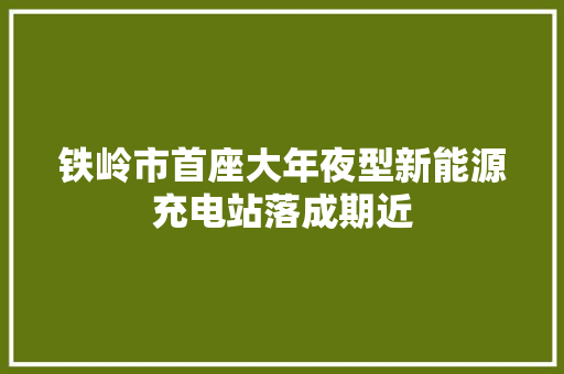 铁岭市首座大年夜型新能源充电站落成期近
