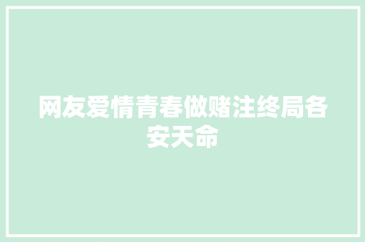 网友爱情青春做赌注终局各安天命
