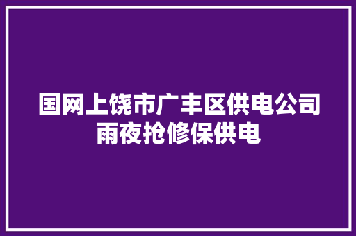 国网上饶市广丰区供电公司雨夜抢修保供电