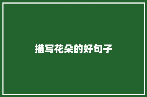 描写花朵的好句子