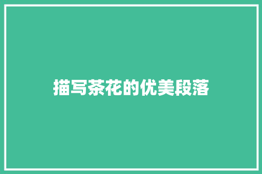 描写茶花的优美段落