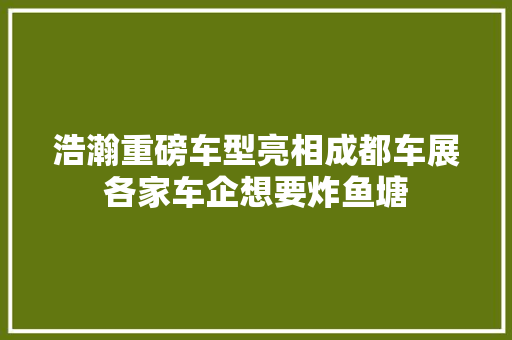 浩瀚重磅车型亮相成都车展各家车企想要炸鱼塘