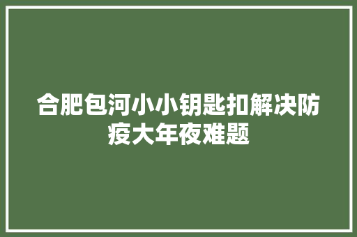 合肥包河小小钥匙扣解决防疫大年夜难题