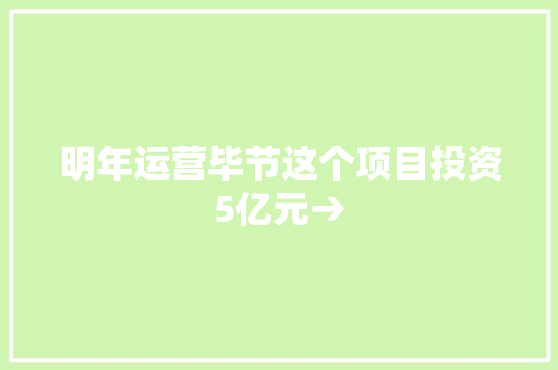 明年运营毕节这个项目投资5亿元→