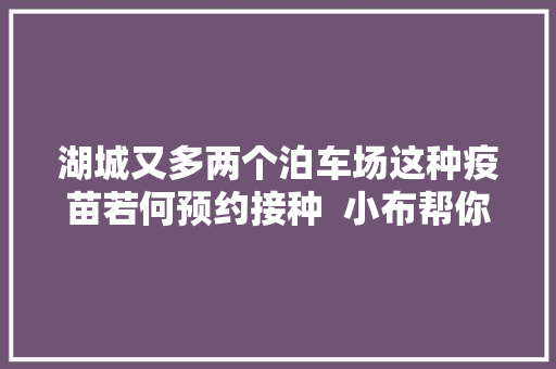 湖城又多两个泊车场这种疫苗若何预约接种  小布帮你问⑬