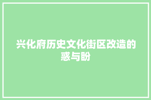 兴化府历史文化街区改造的惑与盼