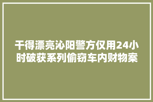 干得漂亮沁阳警方仅用24小时破获系列偷窃车内财物案