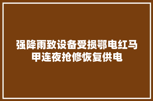 强降雨致设备受损鄂电红马甲连夜抢修恢复供电