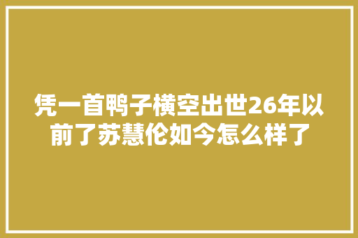 凭一首鸭子横空出世26年以前了苏慧伦如今怎么样了