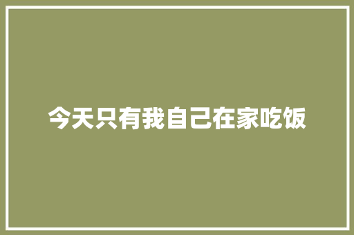 今天只有我自己在家吃饭