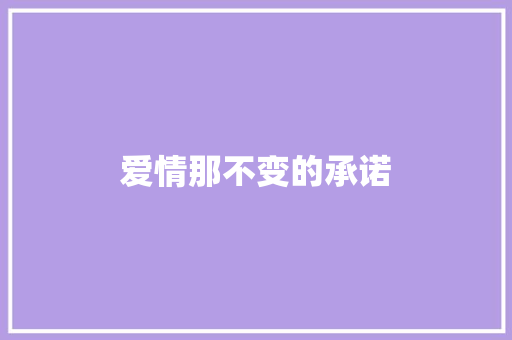 爱情那不变的承诺