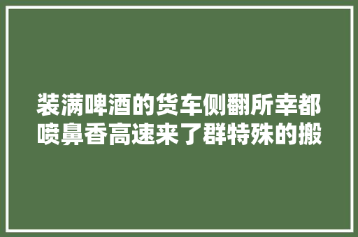 装满啤酒的货车侧翻所幸都喷鼻香高速来了群特殊的搬运工