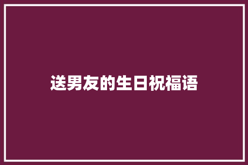 送男友的生日祝福语