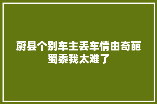 蔚县个别车主丢车情由奇葩蜀黍我太难了