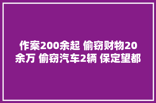 作案200余起 偷窃财物20余万 偷窃汽车2辆 保定望都警方破获系列砸汽车玻璃偷窃案