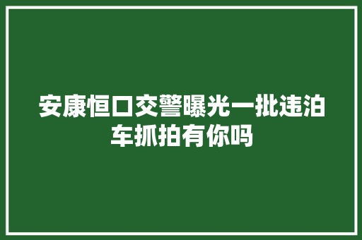 安康恒口交警曝光一批违泊车抓拍有你吗