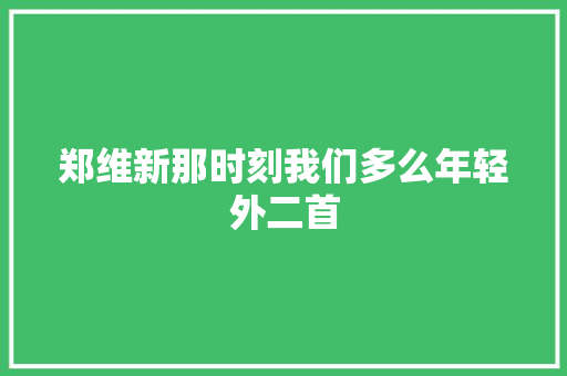 郑维新那时刻我们多么年轻外二首