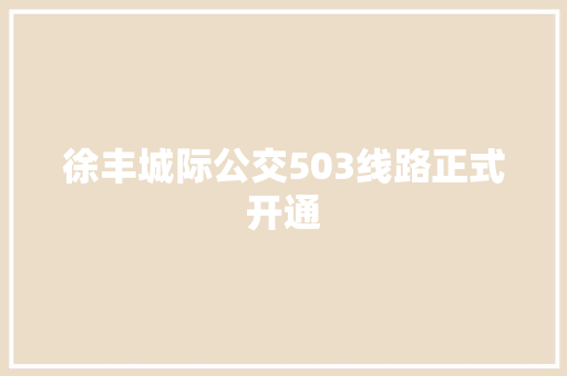 徐丰城际公交503线路正式开通