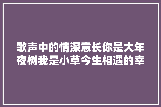歌声中的情深意长你是大年夜树我是小草今生相遇的幸福与守护