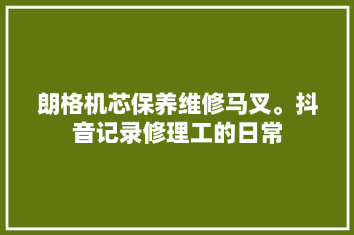 朗格机芯保养维修马叉。抖音记录修理工的日常