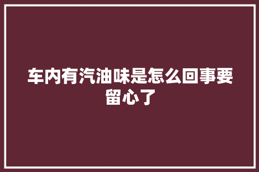 车内有汽油味是怎么回事要留心了