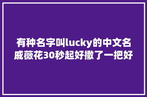 有种名字叫lucky的中文名戚薇花30秒起好撒了一把好狗粮