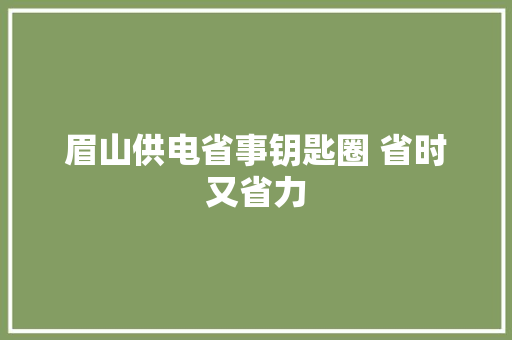 眉山供电省事钥匙圈 省时又省力