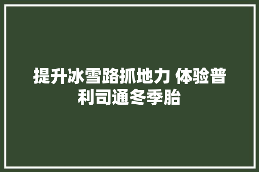 提升冰雪路抓地力 体验普利司通冬季胎