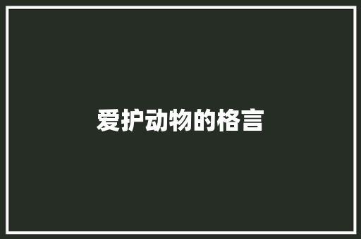 爱护动物的格言