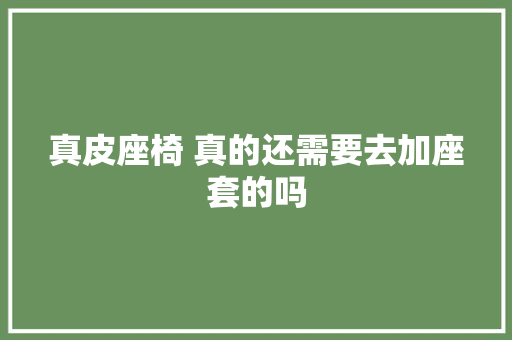 真皮座椅 真的还需要去加座套的吗