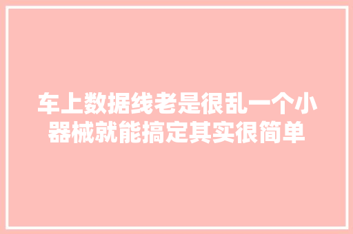 车上数据线老是很乱一个小器械就能搞定其实很简单