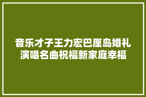 音乐才子王力宏巴厘岛婚礼演唱名曲祝福新家庭幸福