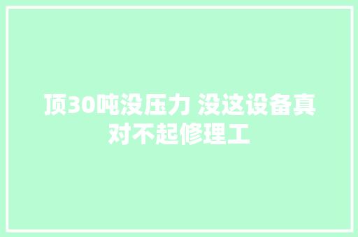 顶30吨没压力 没这设备真对不起修理工