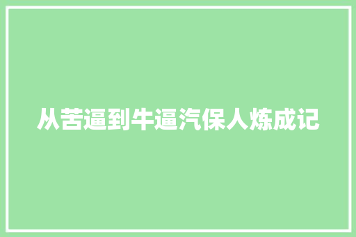 从苦逼到牛逼汽保人炼成记