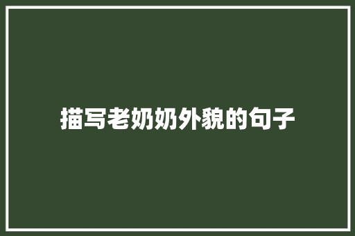 描写老奶奶外貌的句子