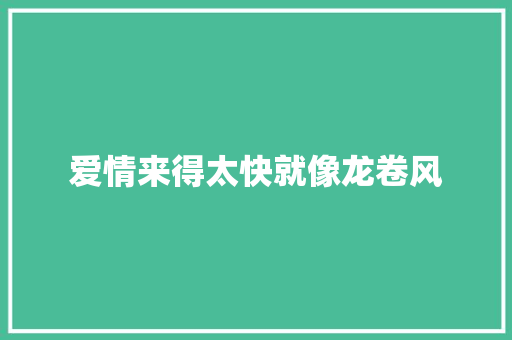 爱情来得太快就像龙卷风