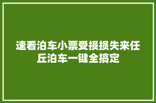 速看泊车小票受损损失来任丘泊车一键全搞定